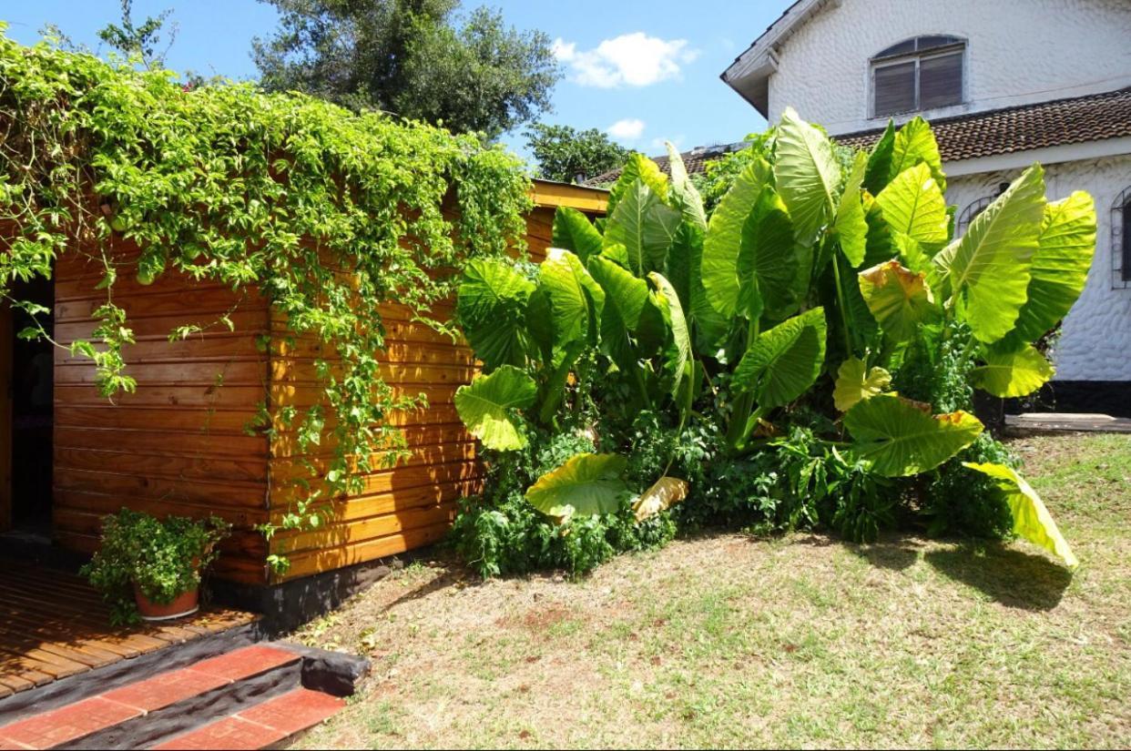 Mediterraneo Suites Puerto Iguazu Luaran gambar