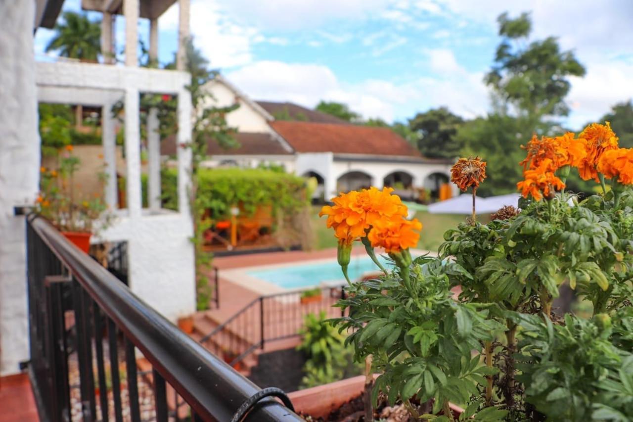 Mediterraneo Suites Puerto Iguazu Luaran gambar