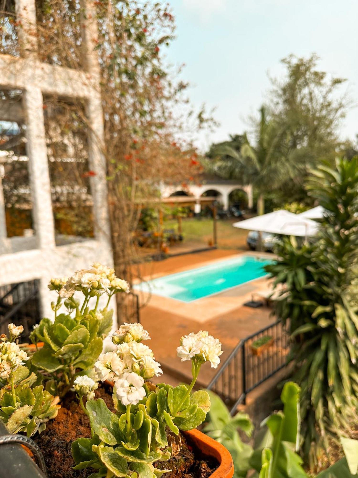Mediterraneo Suites Puerto Iguazu Luaran gambar